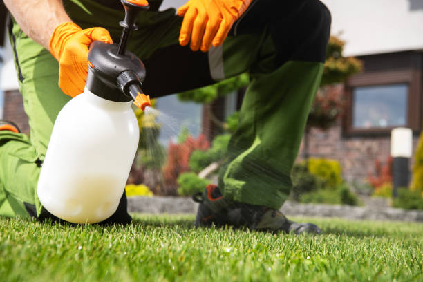 Best Residential Pest Control  in Staunton, VA