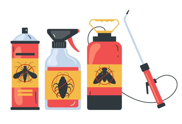 Best Flea Control Services  in Staunton, VA